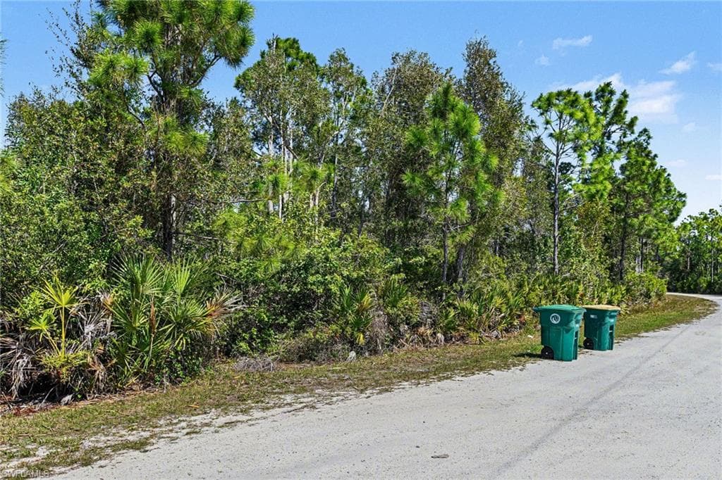 12097 Platano DR-6