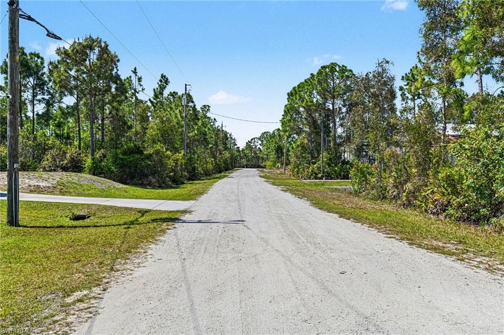 12097 Platano DR-3