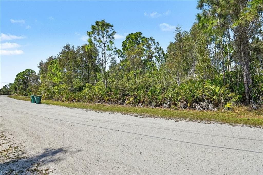 12097 Platano DR-5