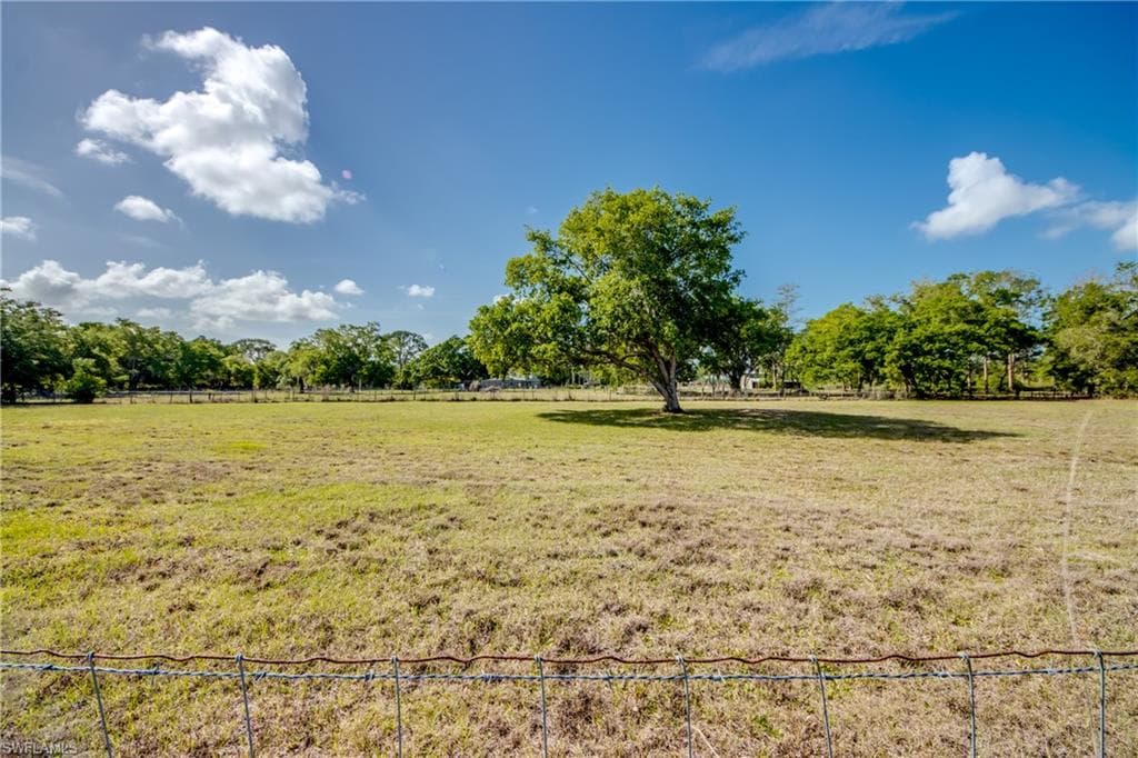 17090 Silver Panther LN-35