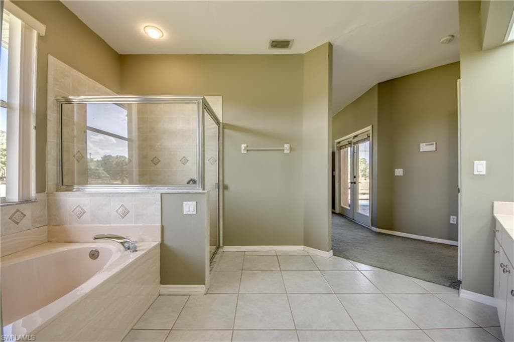 17090 Silver Panther LN-24