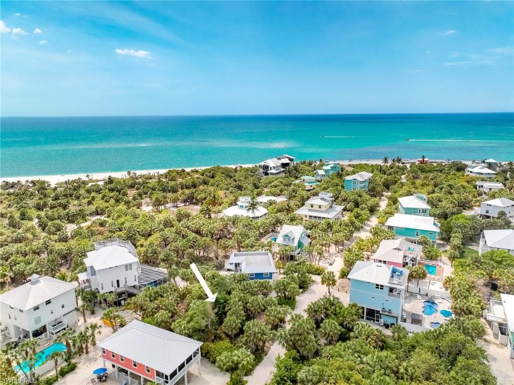 4491 Butterfly Shell DR-17
