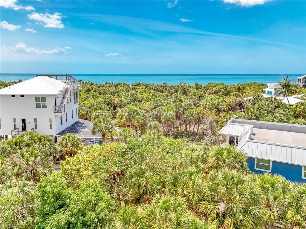 4491 Butterfly Shell DR-14