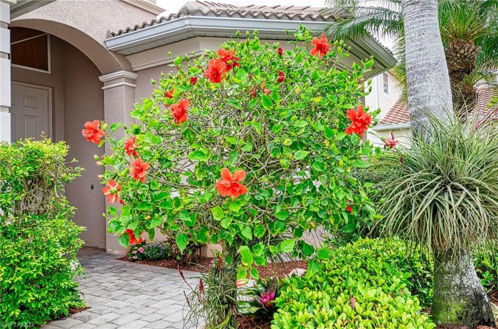 14809 Canton CT-39