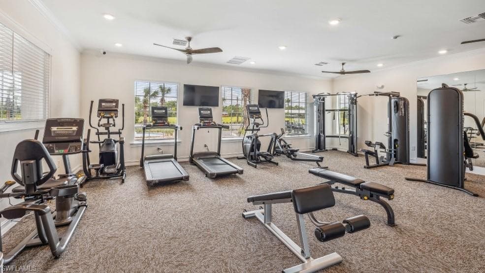 17971 Shade Tree LOOP-20