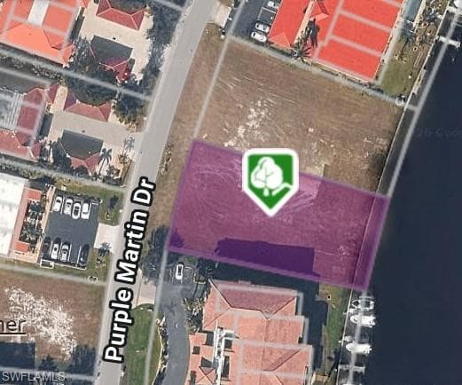 3242 Purple Martin DR-6