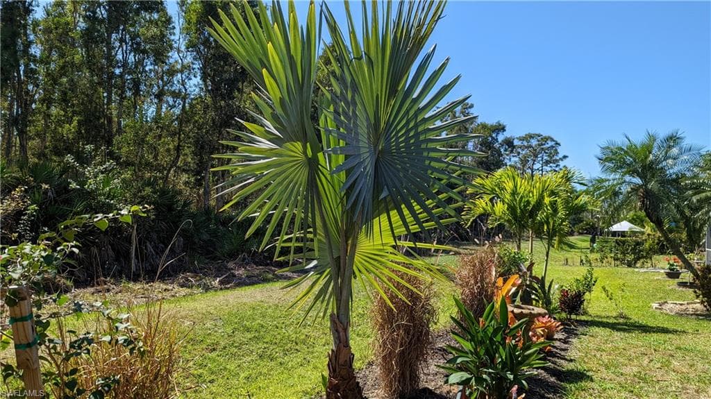 23238 Marsh Landing BLVD-2