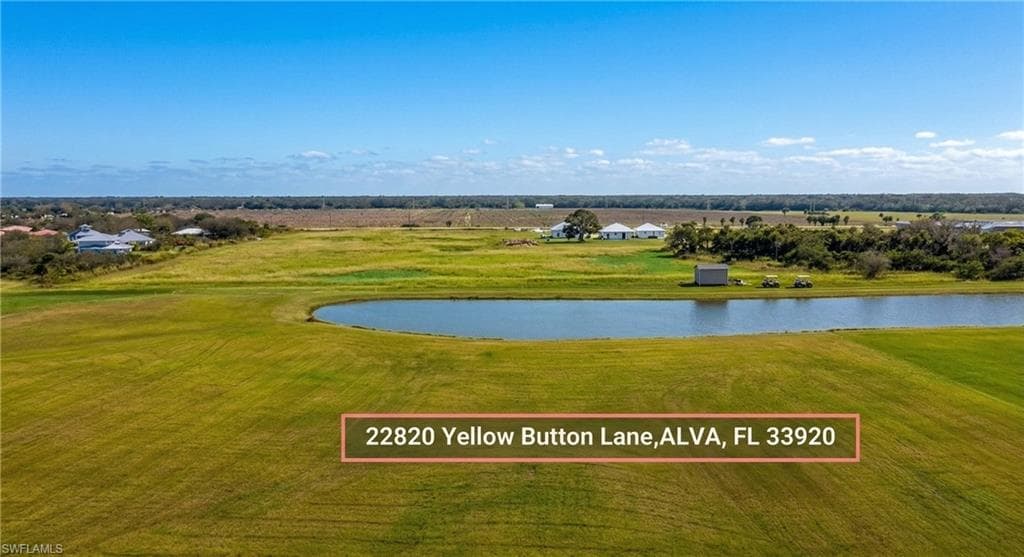 22820 Yellow Button LN-2
