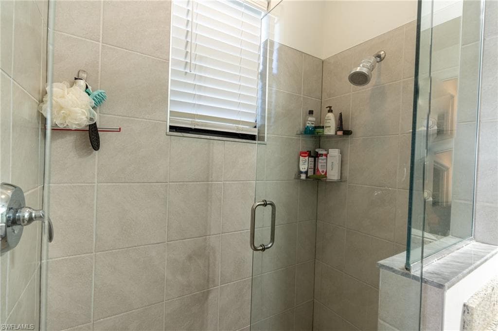 8956 Madrid CIR-8