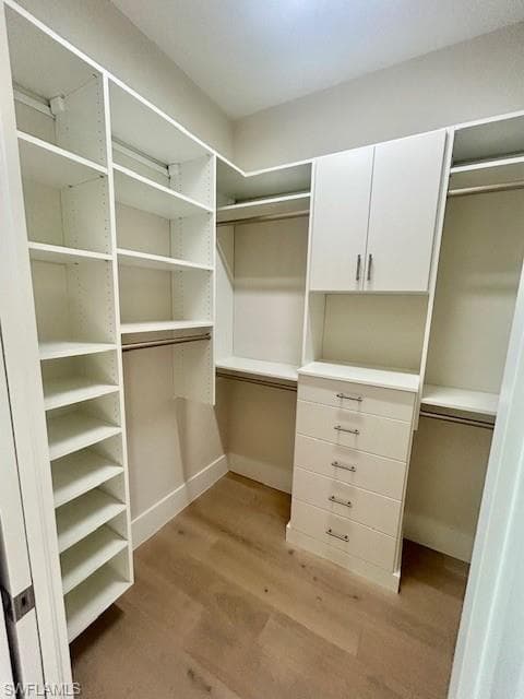 9408 Loquat LN-2