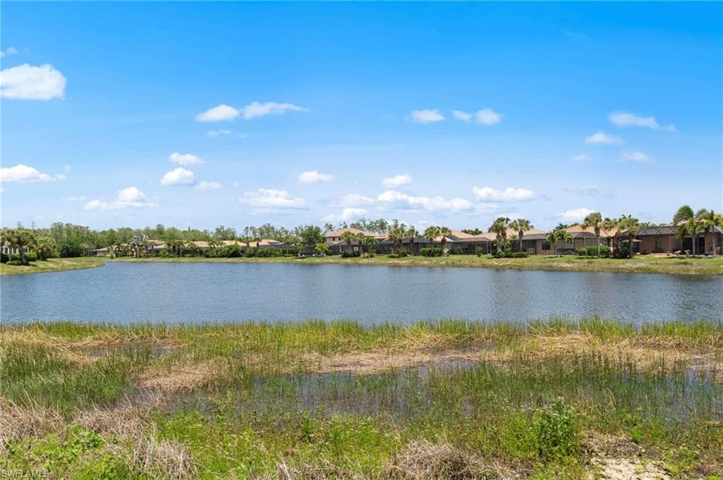13500 Brown Bear RUN-41