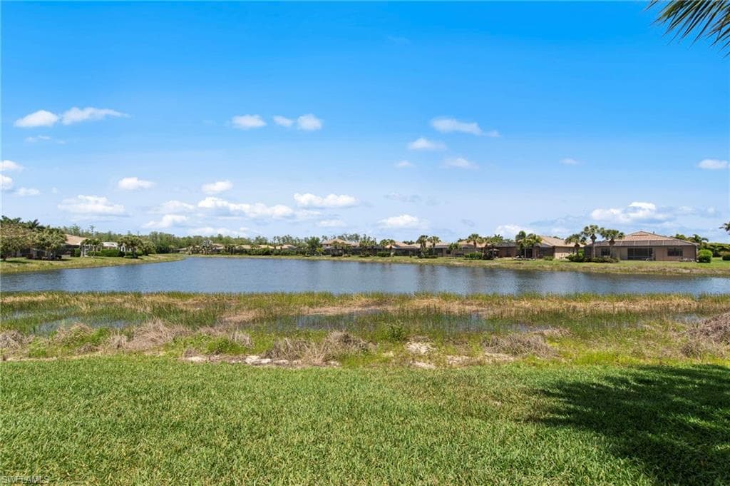 13500 Brown Bear RUN-40
