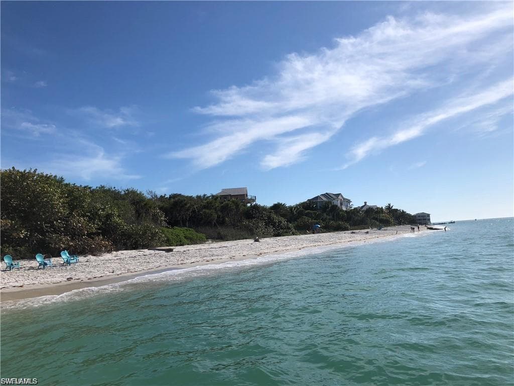90 Pink Flamingo DR-5