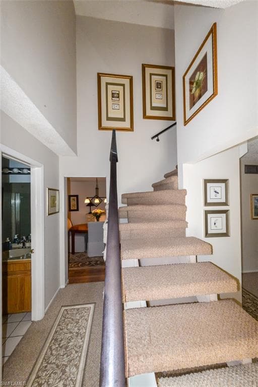 10891 Meadow Lark Cove DR-20