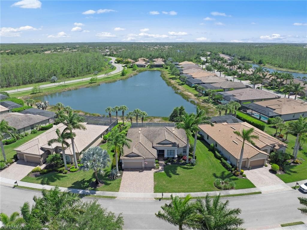 13501 Brown Bear RUN-38