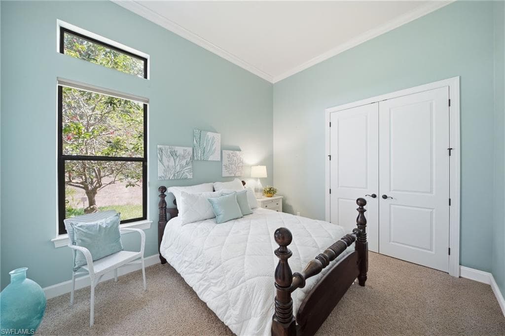 8816 Savona CT-19