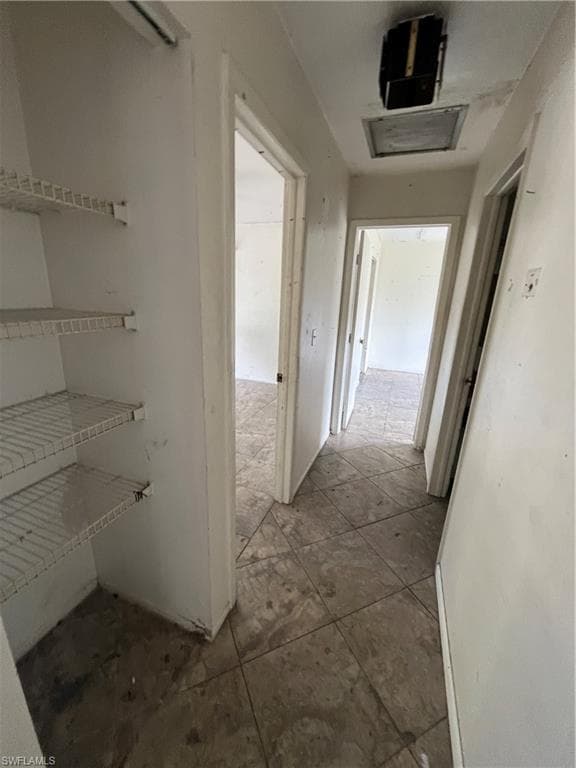 2623 Purslane DR-5