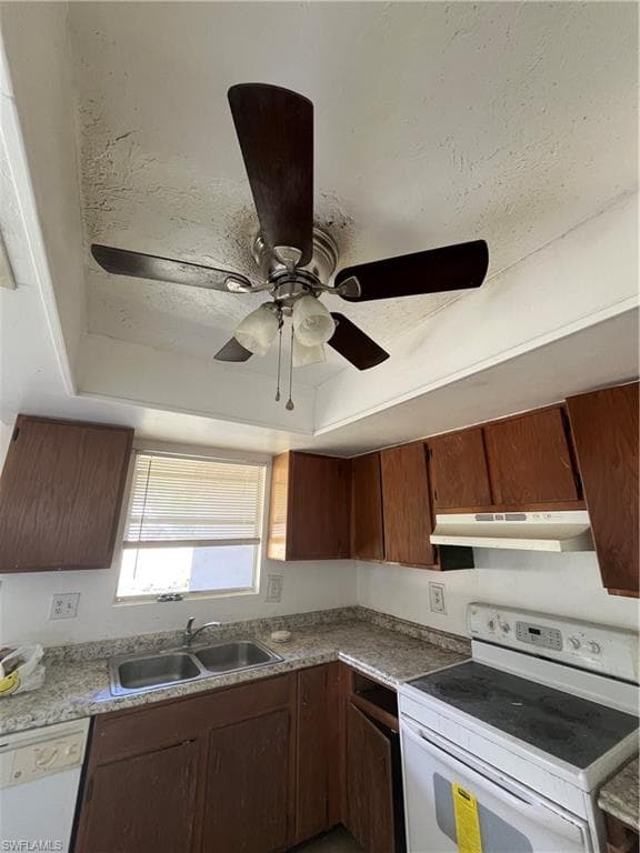 2621 Purslane DR-7