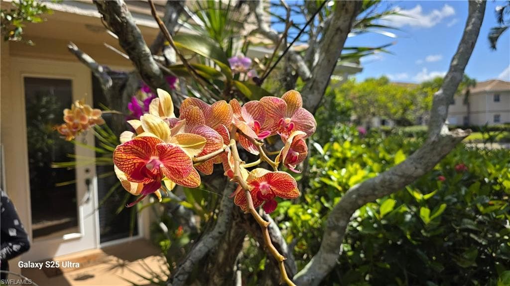 9060 Palmas Grandes BLVD 106-4