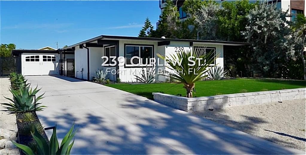 239 Curlew ST-46