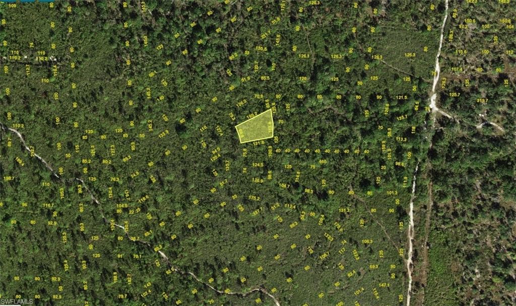 1010 Sawfish LN-1