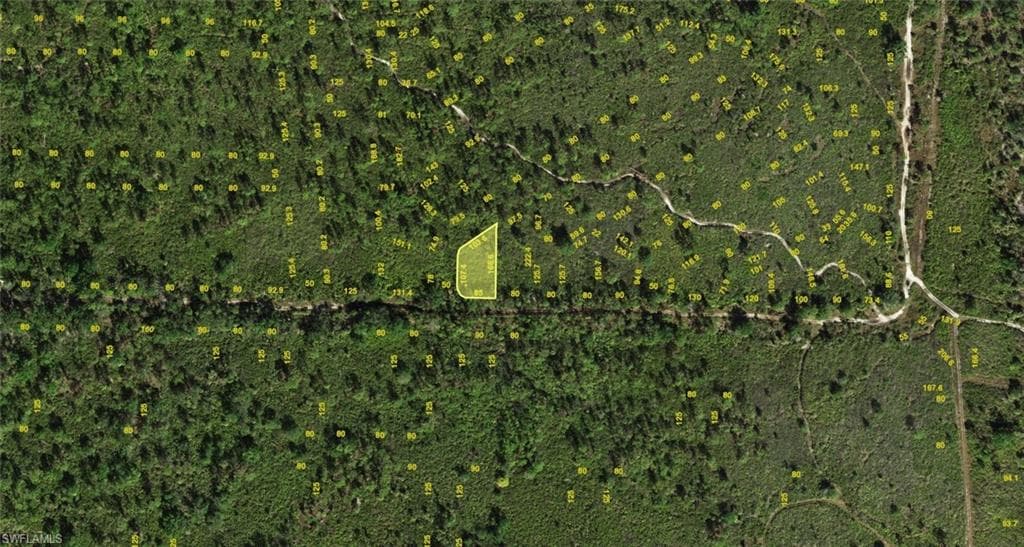 1236 Sawfish LN-1