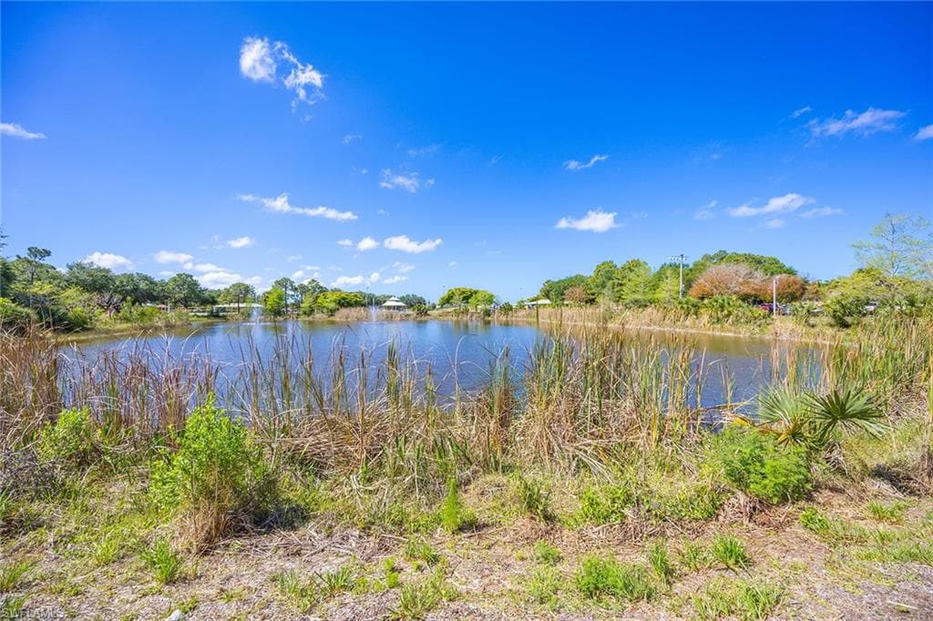 21701 Arenga LN-44