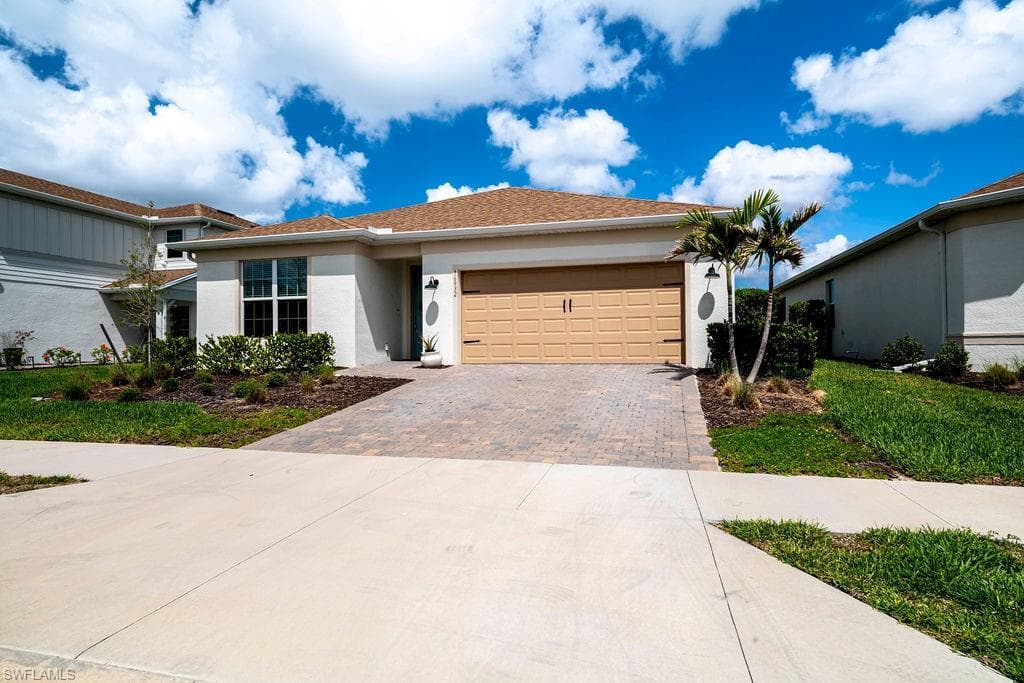 16932 Harlequin CT-1