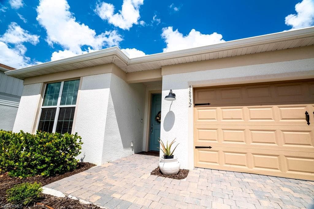 16932 Harlequin CT-0