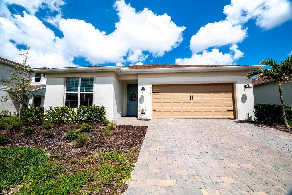 16932 Harlequin CT-3
