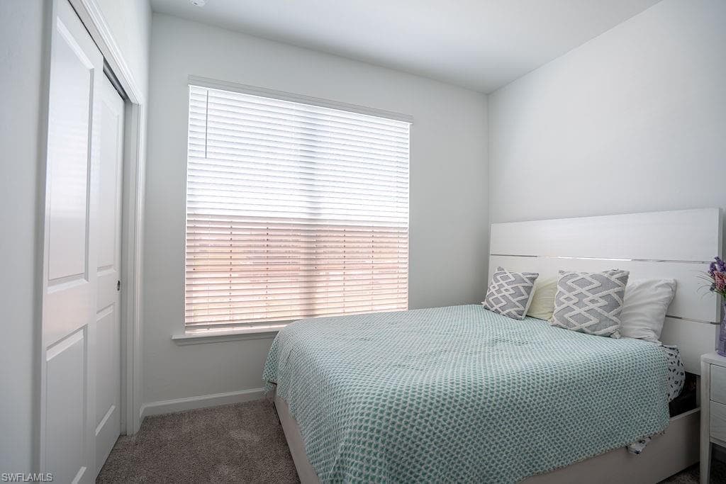 16932 Harlequin CT-7