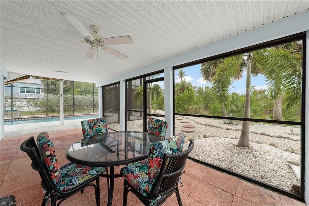 589 Rabbit RD-31