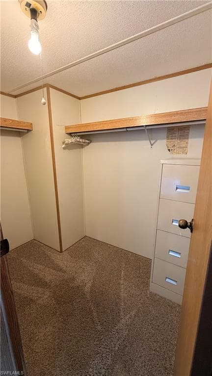 10651 Wales LOOP-16