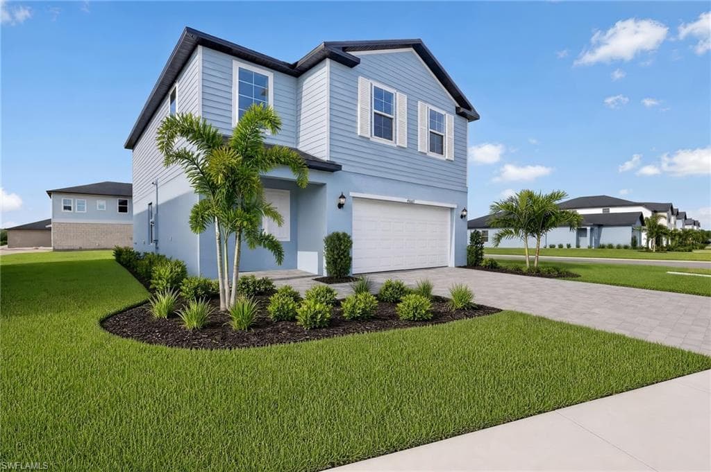 45067 Pipevine CIR-0