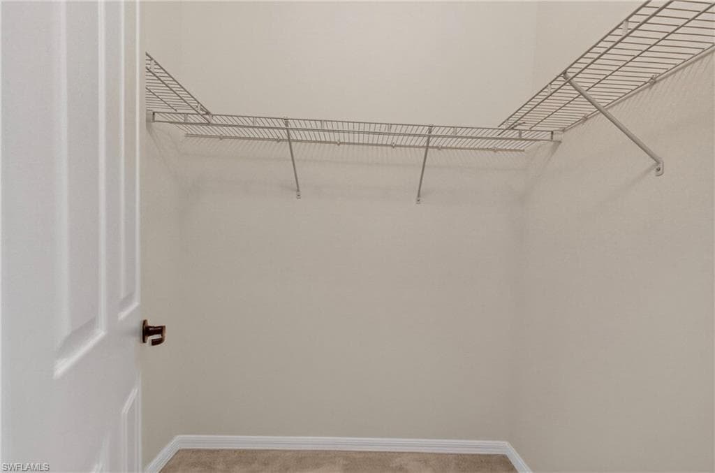 8951 Madrid CIR-31