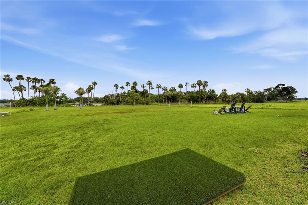 22833 Yellow Button LN-38