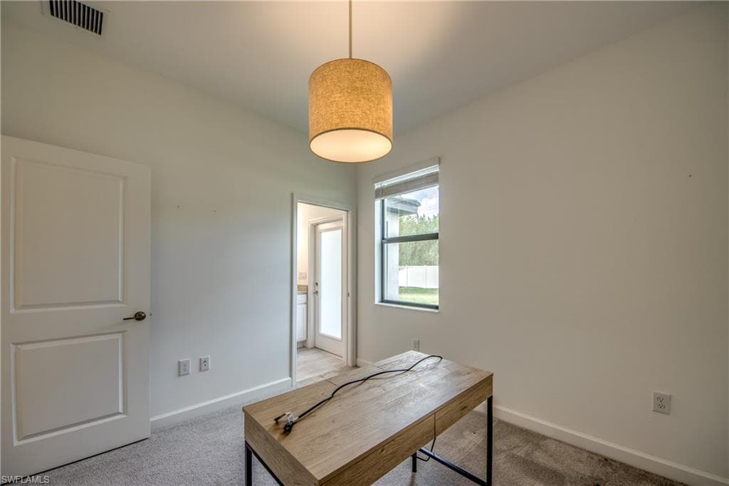 11436 Canopy LOOP-22