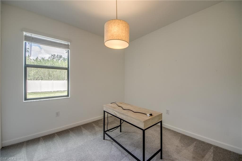 11436 Canopy LOOP-21