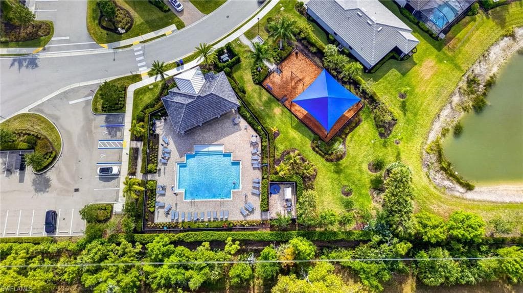 3930 Spotted Eagle WAY-40