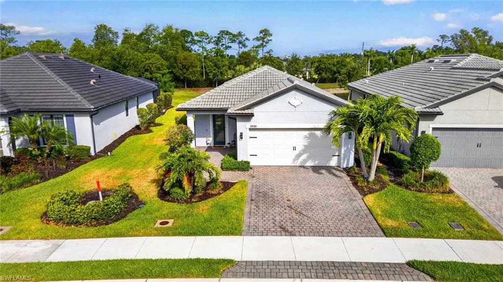 3930 Spotted Eagle WAY-29