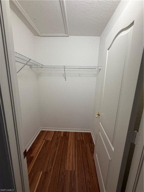 8541 Athena CT-12