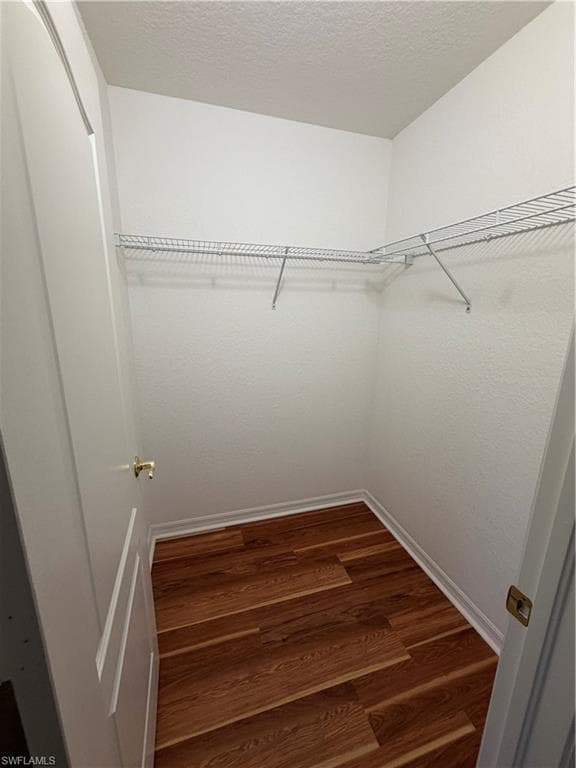 8541 Athena CT-13