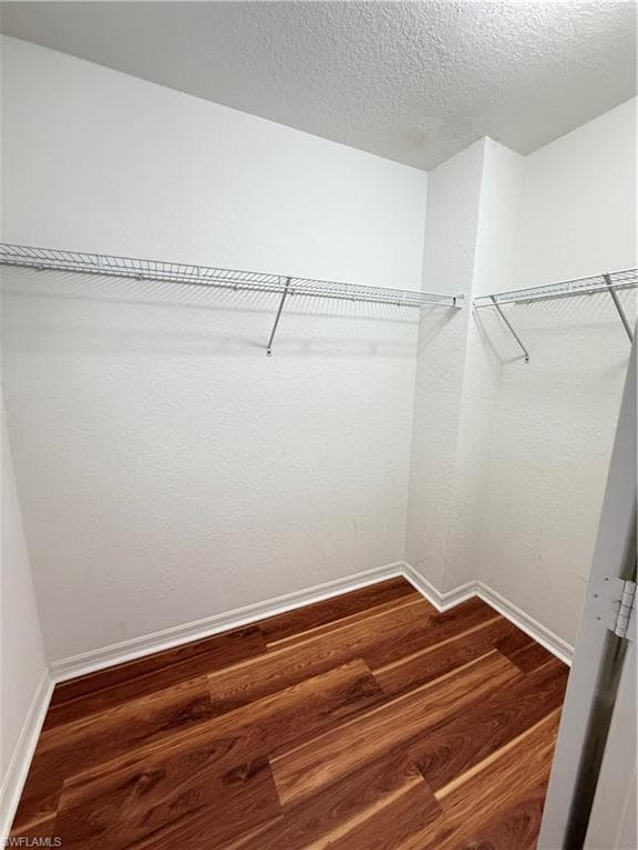 8541 Athena CT-10