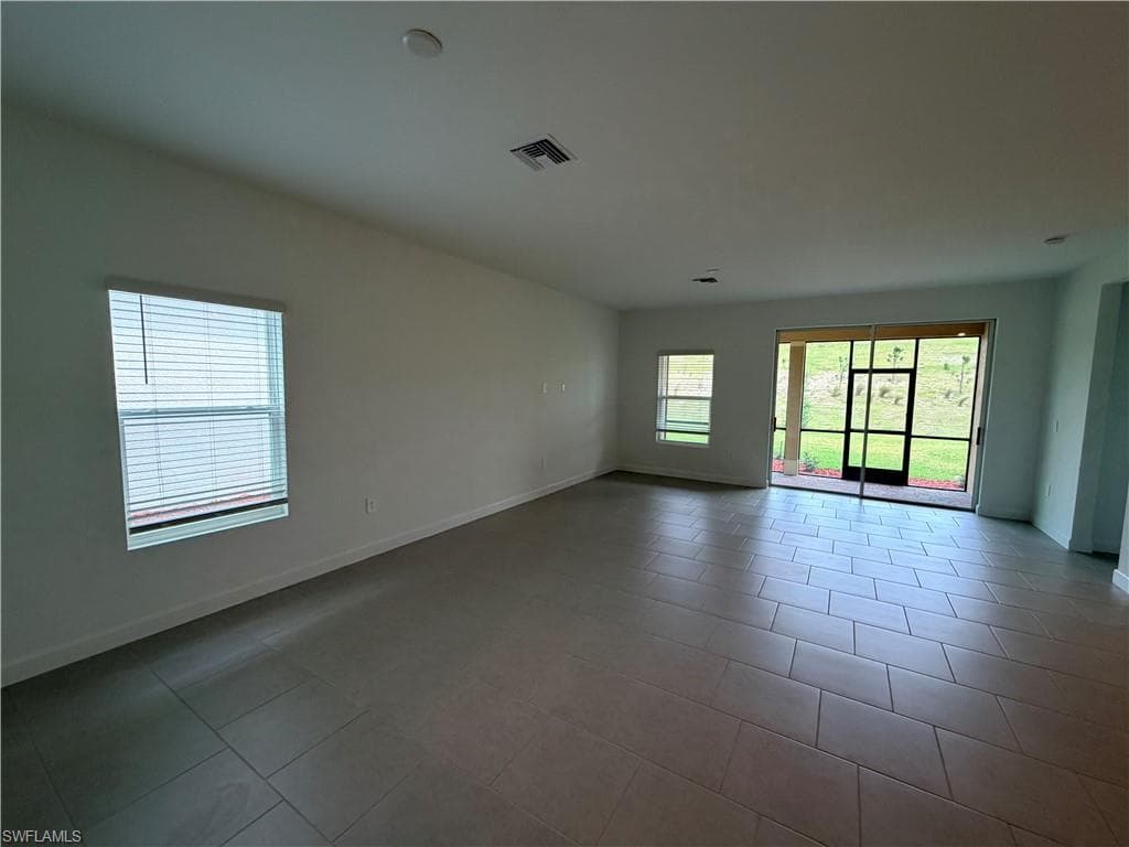 3917 Passion Vine DR-10