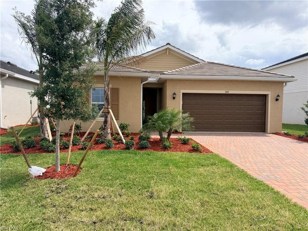 3917 Passion Vine DR-28