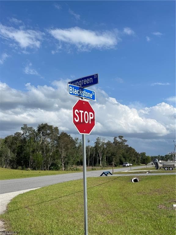 837 youngreen DR-6