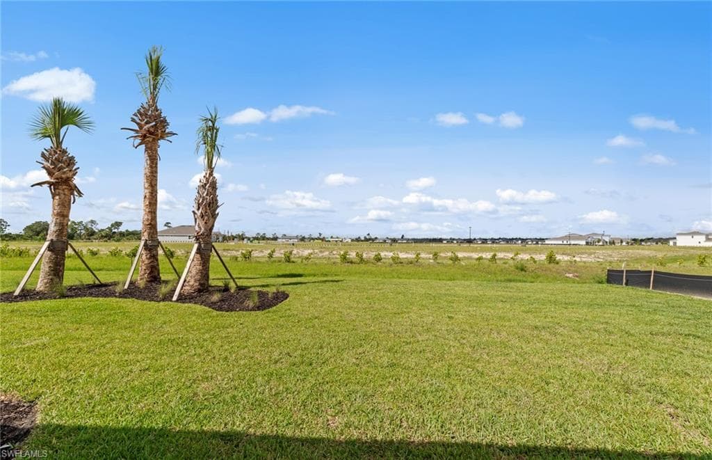 44589 Emerald ST-31