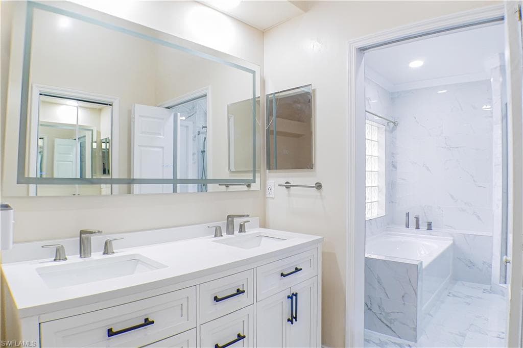 160 lady palm DR-11