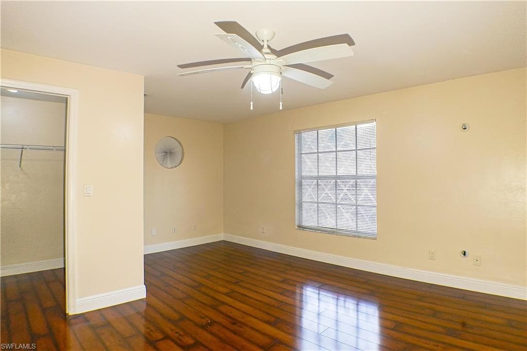 160 lady palm DR-6