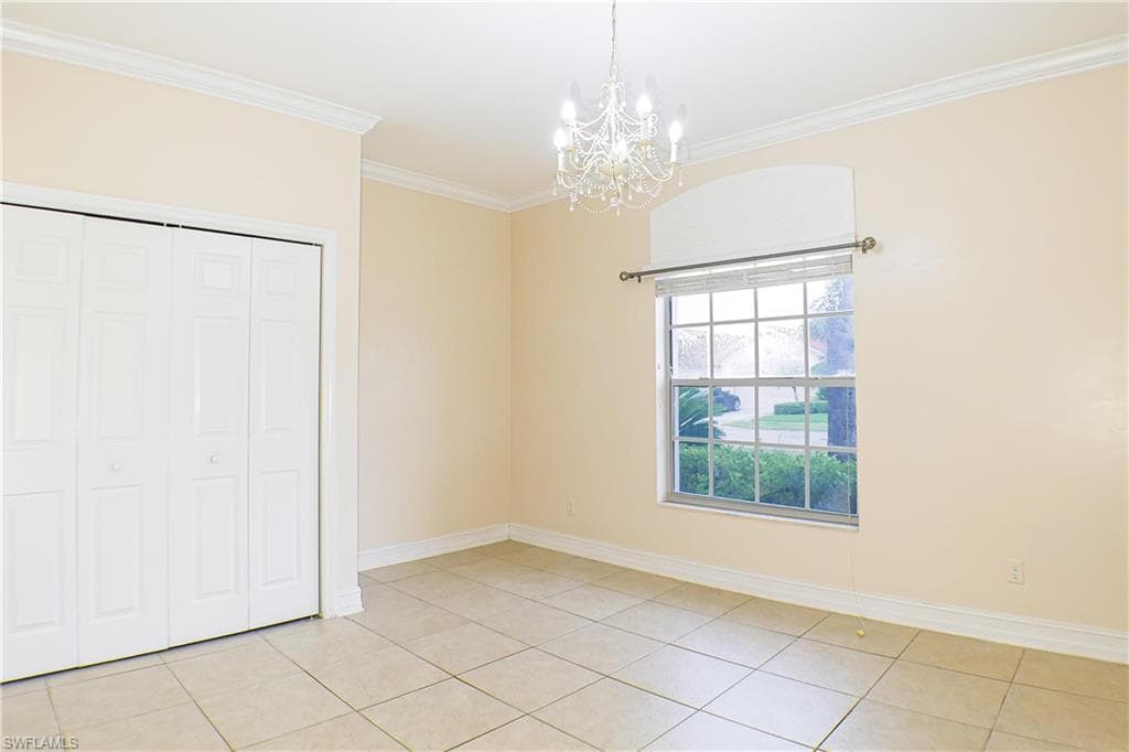 160 lady palm DR-4